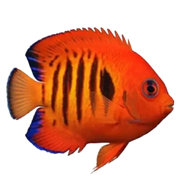 9_